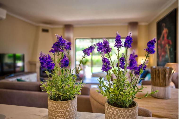 2Bedroom Bungalow Heated Shared Pool ,Near Carvoeiro And Ferrugudo Exteriér fotografie
